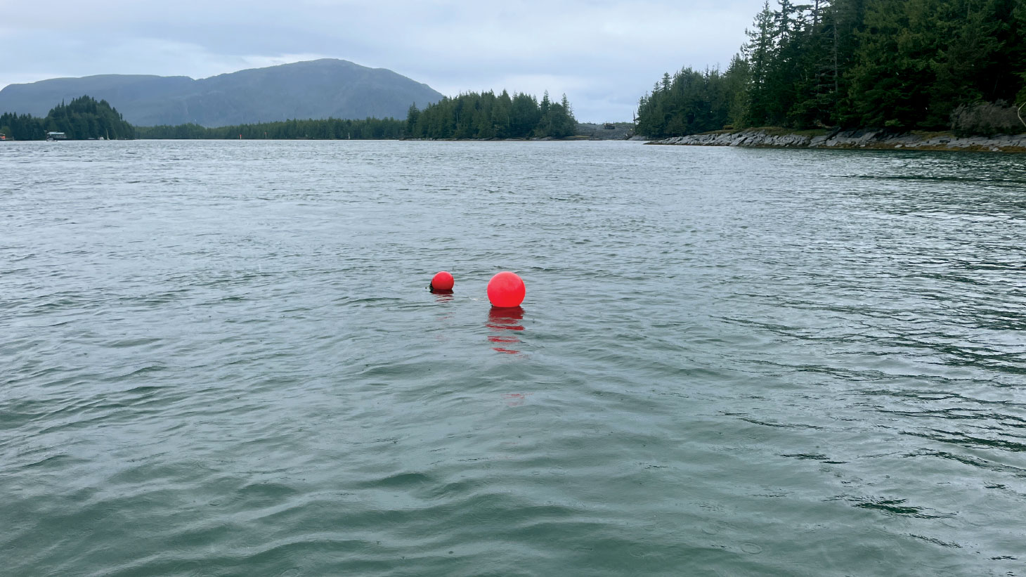 Floating markers in water