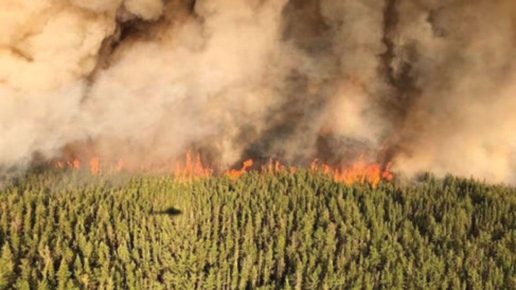 Flames and smoke rising from forest