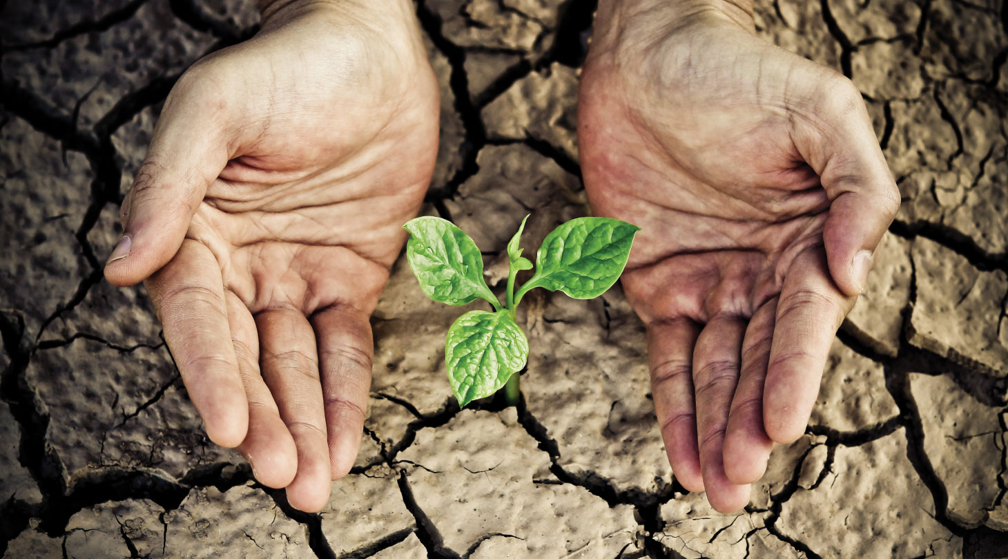 Pair of hands nurturing a small plant growing out of dried earth