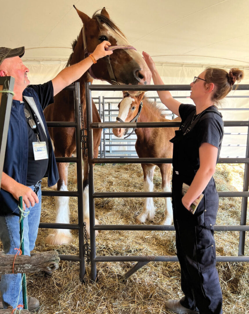 Man and woman petting horse in barn